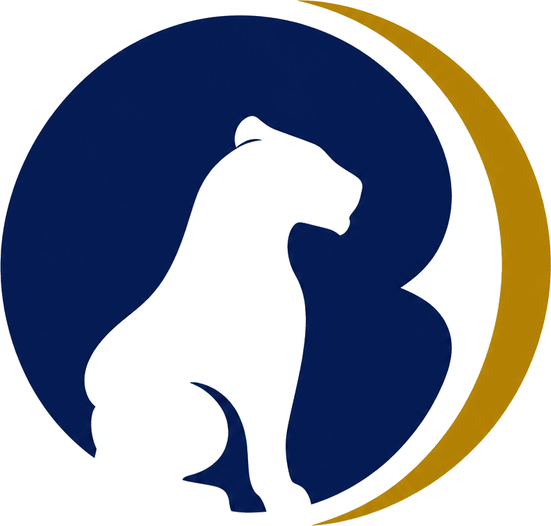 Symbole Sarabi Consulting